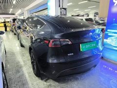 Tesla Model Y Rear-Wheel Drive - ფოტო 7