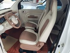 FAW Besturn Xiaoma 2026 222km Shining Edition - ფოტო 15