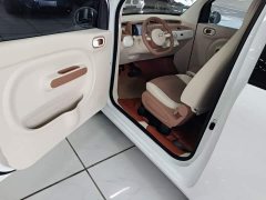 FAW Besturn Xiaoma 2026 222km Shining Edition - ფოტო 16
