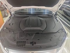 BYD Qin Plus 2024 Glory Edition EV 420KM Superior - ფოტო 16
