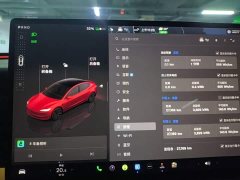 Tesla Model 3 Rear-Wheel Drive - ფოტო 12