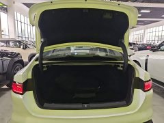BYD Dolphin 05 DM-i Smart Drive Edition 120KM Flagship - ფოტო 19