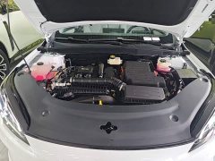 BYD Dolphin 05 DM-i Smart Drive Edition 120KM Flagship - ფოტო 20