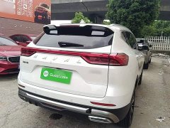 Haval H6 2023 National Trend Edition 1.5T Automatic Champion Version - ფოტო 7