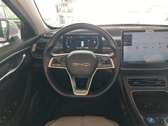 BYD Destroyer 05 Glory Edition DM-i 55KM Luxury - ფოტო 11