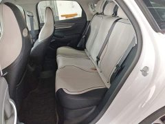 BYD Destroyer 05 Glory Edition DM-i 55KM Luxury - ფოტო 17