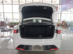 BYD Destroyer 05 Glory Edition DM-i 55KM Luxury - ფოტო 19