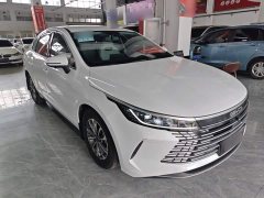 BYD Destroyer 05 Glory Edition DM-i 55KM Luxury - ფოტო 4