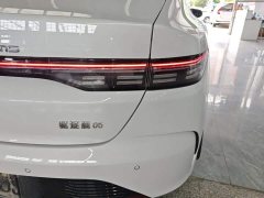 BYD Destroyer 05 Glory Edition DM-i 55KM Luxury - ფოტო 8