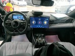 BYD Dolphin 700km Long Range Rear-Wheel Drive - ფოტო 10