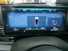 BYD Dolphin 700km Long Range Rear-Wheel Drive - ფოტო 12