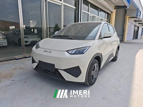 2026 BYD Seagull 2025 Smart Drive 305km Vitality Edition - ავტომობილი ჩინეთიდან