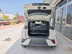 BYD Seagull 2025 Smart Drive 305km Vitality Edition - ფოტო 19