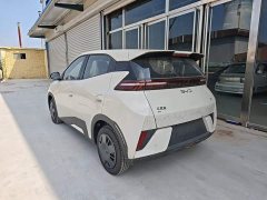 BYD Seagull 2025 Smart Drive 305km Vitality Edition - ფოტო 5