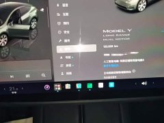 Tesla Model Y Long Range All-Wheel Drive - ფოტო 12