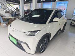 BYD Seagull Glory Edition 305km Freedom Version - ფოტო 1