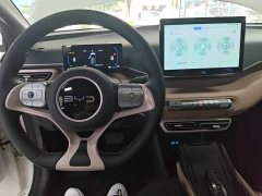 BYD Seagull Glory Edition 305km Freedom Version - ფოტო 10