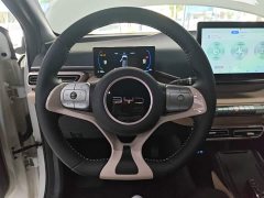 BYD Seagull Glory Edition 305km Freedom Version - ფოტო 11