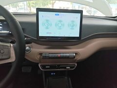 BYD Seagull Glory Edition 305km Freedom Version - ფოტო 13