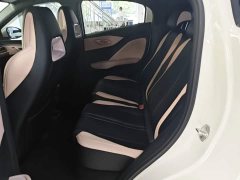 BYD Seagull Glory Edition 305km Freedom Version - ფოტო 17