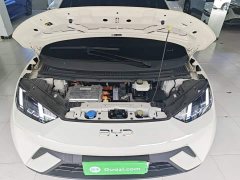 BYD Seagull Glory Edition 305km Freedom Version - ფოტო 20