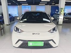 BYD Seagull Glory Edition 305km Freedom Version - ფოტო 3