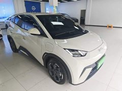 BYD Seagull Glory Edition 305km Freedom Version - ფოტო 4