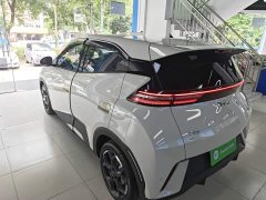 BYD Seagull Glory Edition 305km Freedom Version - ფოტო 5