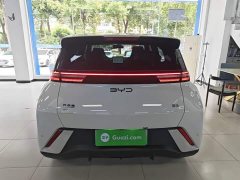 BYD Seagull Glory Edition 305km Freedom Version - ფოტო 6