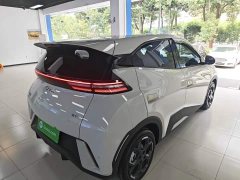 BYD Seagull Glory Edition 305km Freedom Version - ფოტო 7