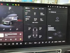 Li Auto L9 2023 Pro - ფოტო 12
