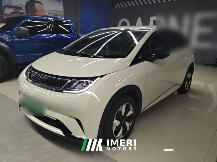BYD Dolphin 2025 420km Freedom Edition - ავტომობილი ჩინეთიდან