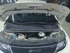BYD Dolphin 2025 420km Freedom Edition - ფოტო 20