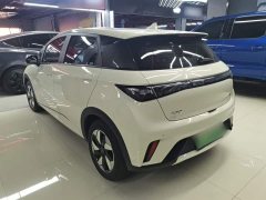 BYD Dolphin 2025 420km Freedom Edition - ფოტო 5