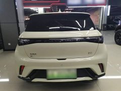 BYD Dolphin 2025 420km Freedom Edition - ფოტო 6