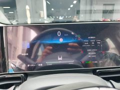 Honda Lingxi L 2024 Top Player Edition - ფოტო 12