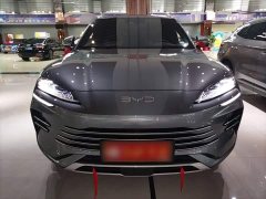 BYD Song Plus New Energy 2025 DM-i 160KM Flagship - ფოტო 3