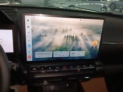 Haval Big Dog PLUS 2023 1.5T Two-Wheel Drive Trendy Wilderness Edition Plus - ფოტო 13