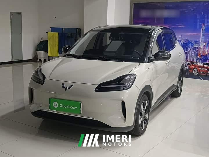 Wuling Binguo PLUS 401km 5-Seater - ავტომობილი ჩინეთიდან