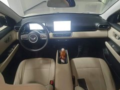 Wuling Binguo PLUS 401km 5-Seater - ფოტო 10