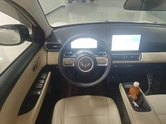 Wuling Binguo PLUS 401km 5-Seater - ფოტო 11