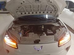Wuling Binguo PLUS 401km 5-Seater - ფოტო 20