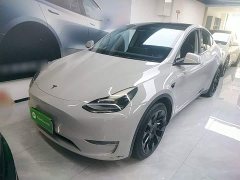 Tesla Model Y Standard Range RWD - ფოტო 2