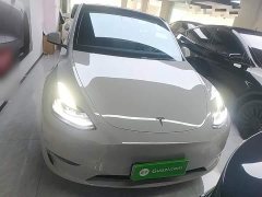 Tesla Model Y Standard Range RWD - ფოტო 3