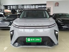 Maxus Dajia 9 Long Range Forest Six-Seater - ფოტო 3