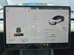 Tesla Model 3 2020 Facelift Standard Range RWD Upgrade - ფოტო 12