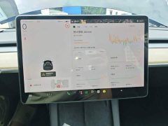Tesla Model 3 2020 Facelift Standard Range RWD Upgrade - ფოტო 13