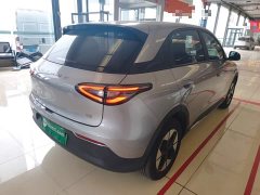Geely Star Wish 310km Dream Edition - ფოტო 7