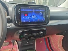 SAIC Corey Wei CLEVER 302km New Four-Seat Super Version - ფოტო 13