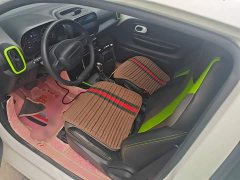 SAIC Corey Wei CLEVER 302km New Four-Seat Super Version - ფოტო 15
